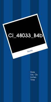 Ci 48033 B4b