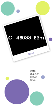 Ci 48033 B3m