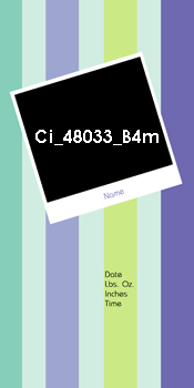 Ci 48033 B4m