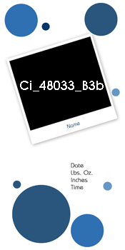 Ci 48033 B3b