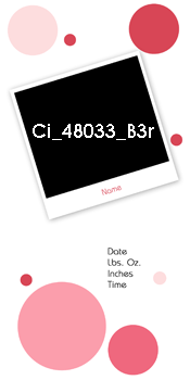 Ci 48033 B3r